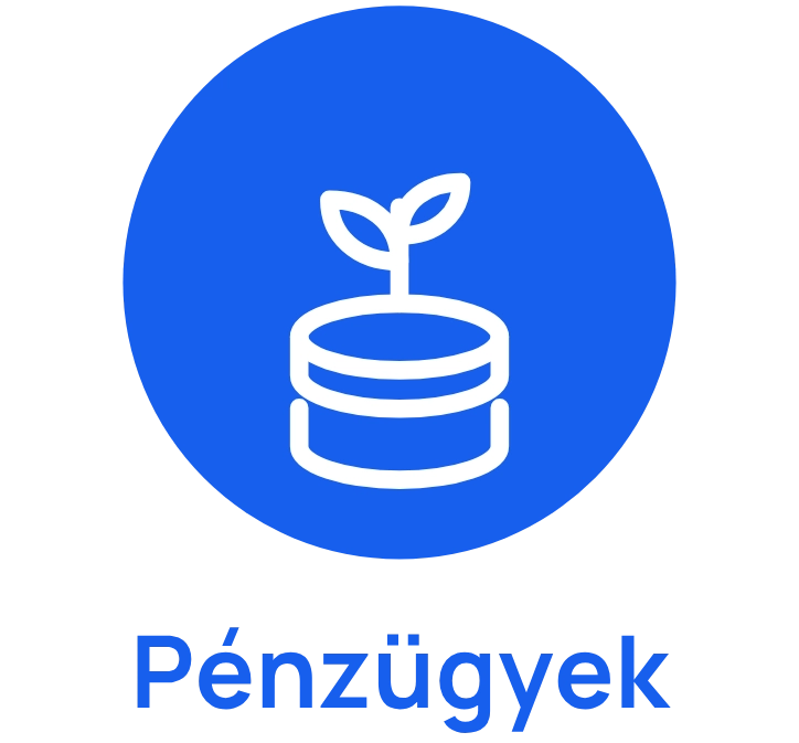Pénzügyi gazdagság