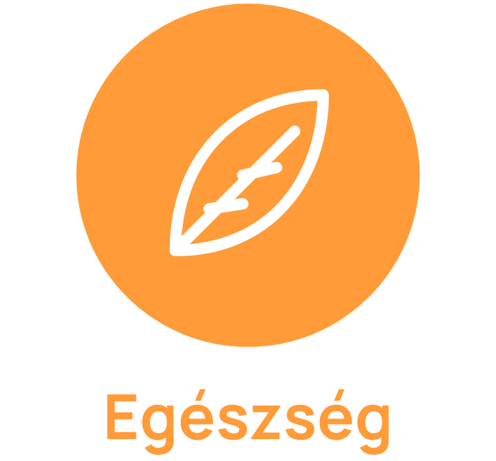 Egészség
