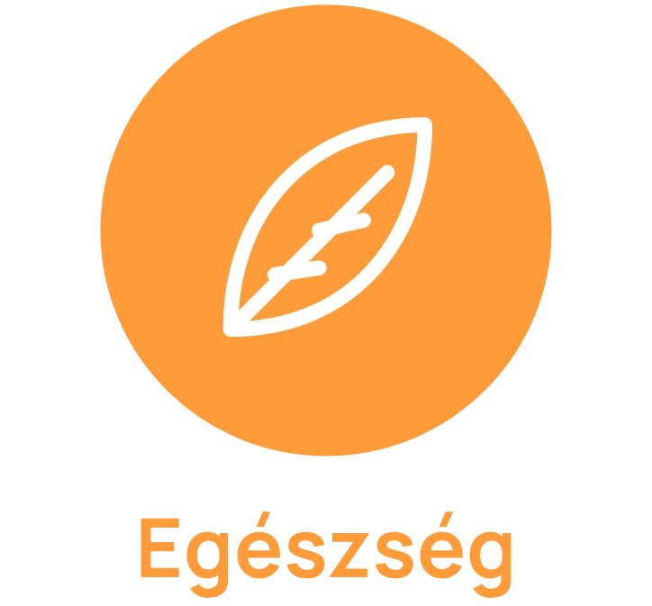 Egészségbeli gazdagság